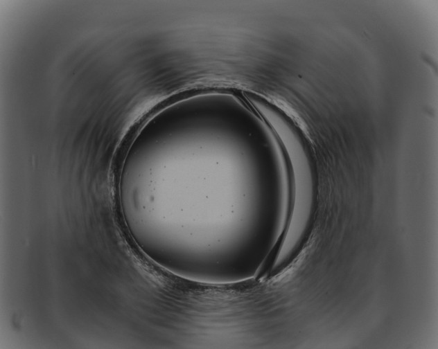 X0000091940981200709191417