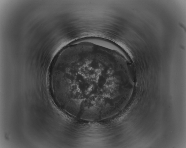 X0000091940983200709191417