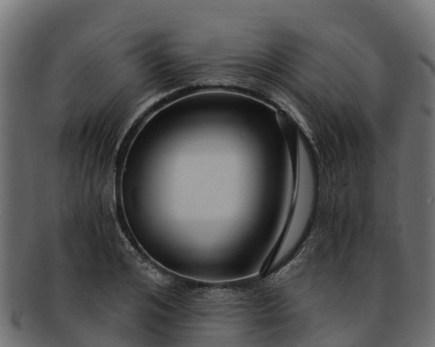 X0000091940984200709191417