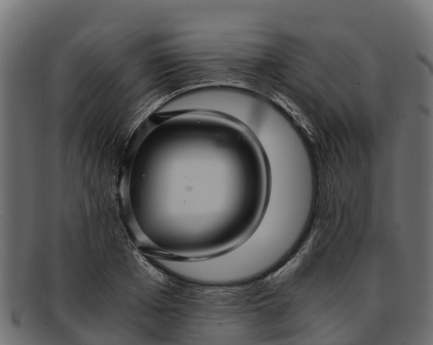 X0000091940985200709191417