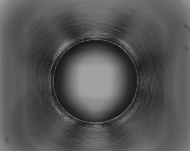 X0000091940986200709191417