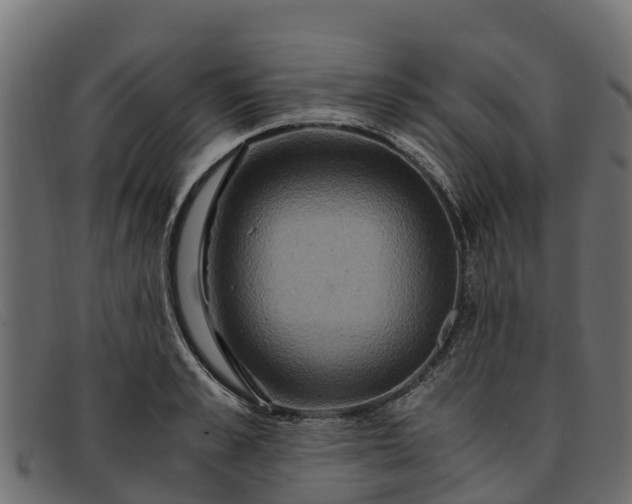 X0000091940989200709191417