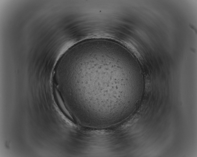 X0000091940990200709191417