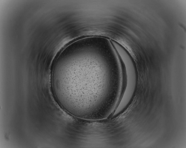 X0000091940992200709191417