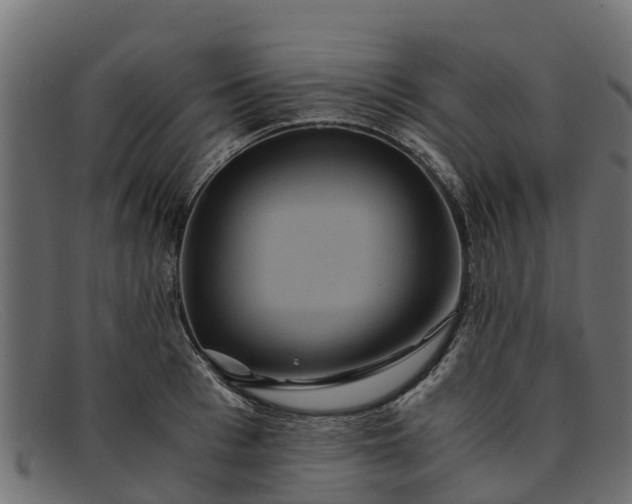 X0000091940993200709191417