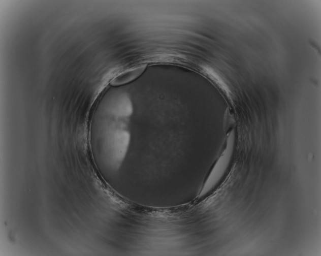 X0000091940994200709191417