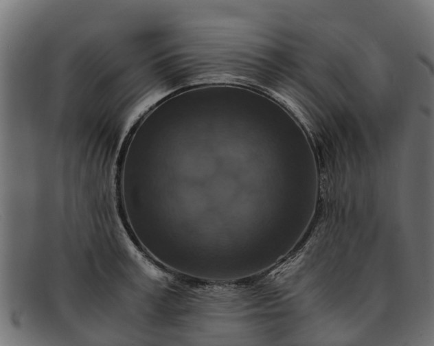 X0000091940995200709191417