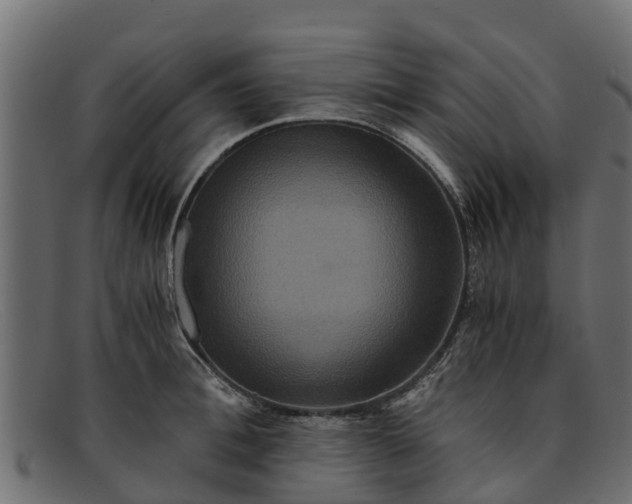 X0000091940996200709191417