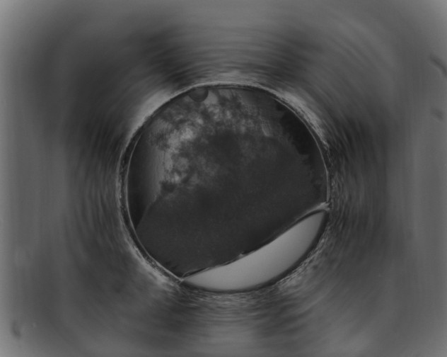 X0000091940998200709191417