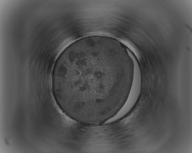 X0000091940999200709191417