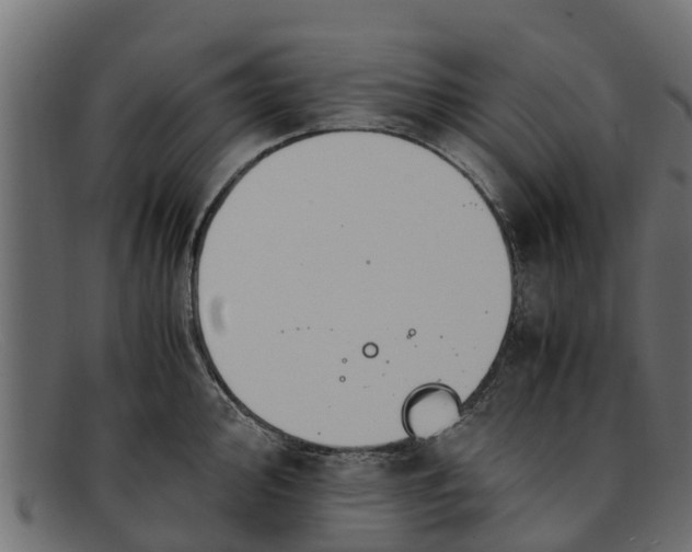 X0000091941000200709191417