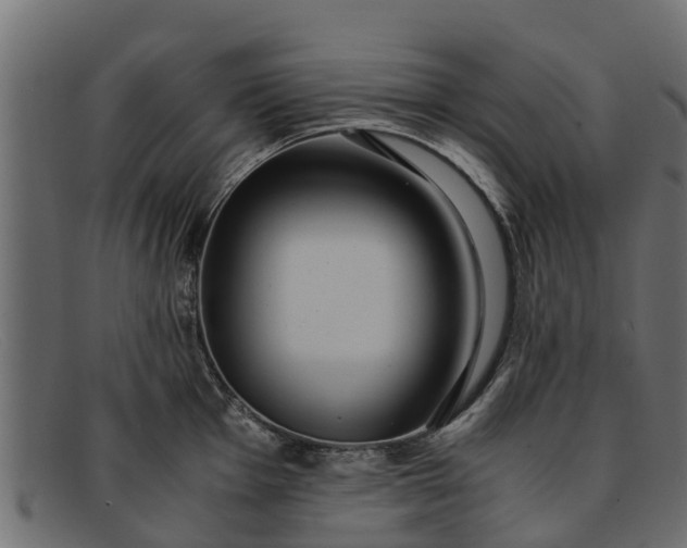 X0000091941001200709191416