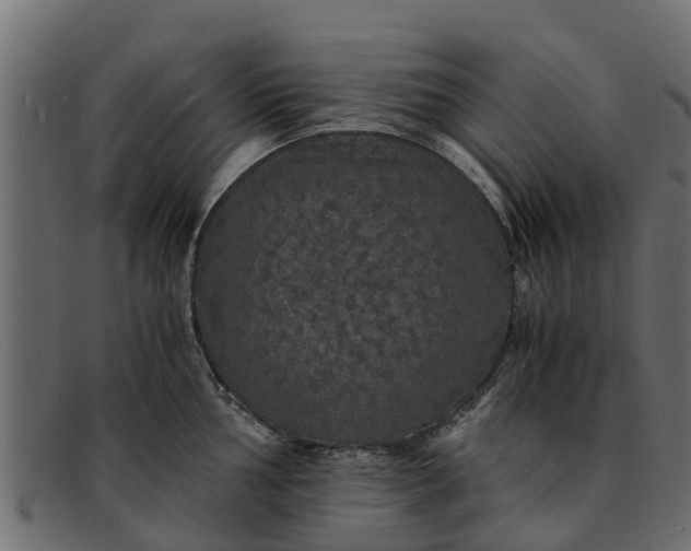 X0000091941002200709191416