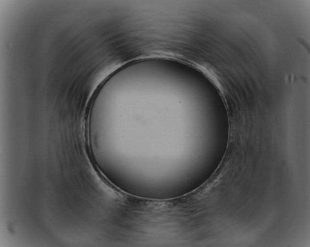 X0000091941003200709191416