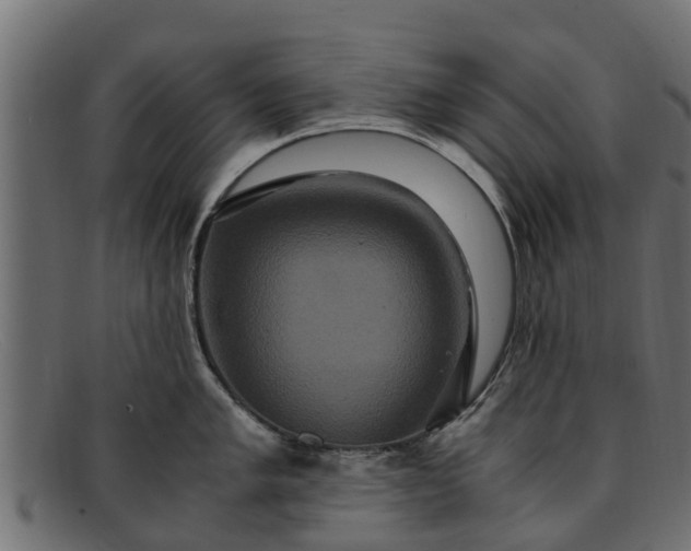 X0000091941005200709191416