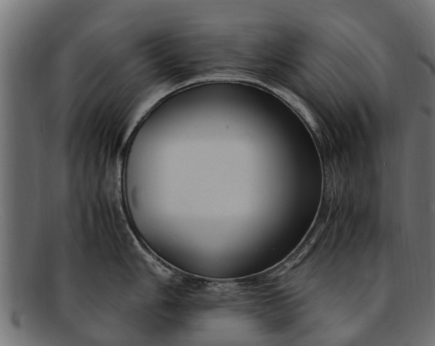 X0000091941006200709191416