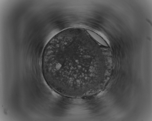 X0000091941007200709191416