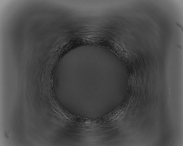 X0000091941009200709191416