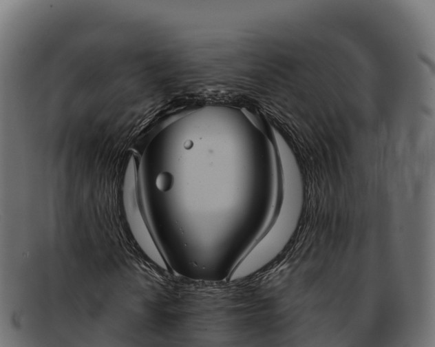 X0000091941010200709191416