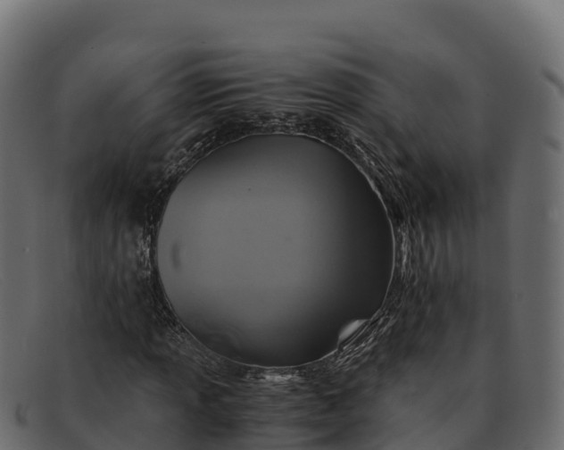 X0000091941013200709191416