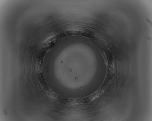 X0000091941014200709191416