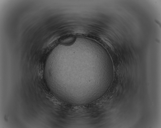 X0000091941015200709191416