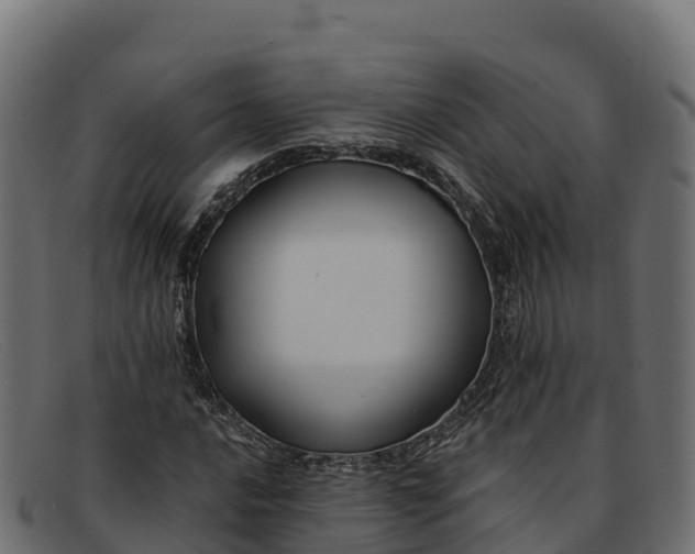 X0000091941016200709191416