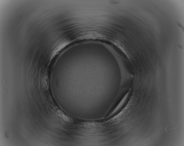 X0000091941018200709191416