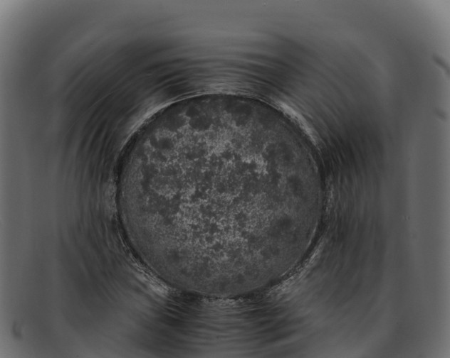 X0000091941019200709191416