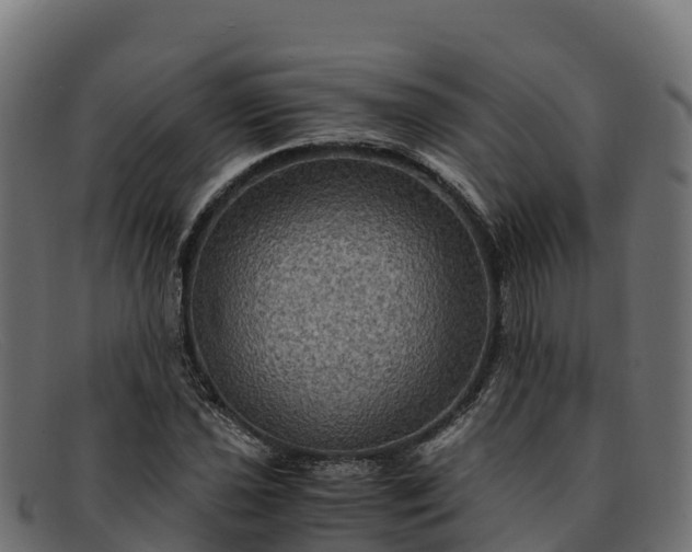 X0000091941021200709191416