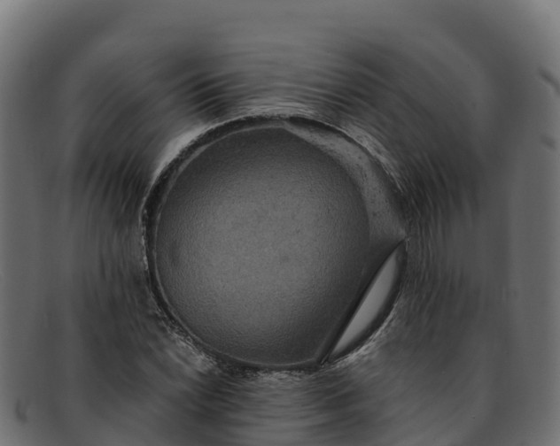 X0000091941022200709191416