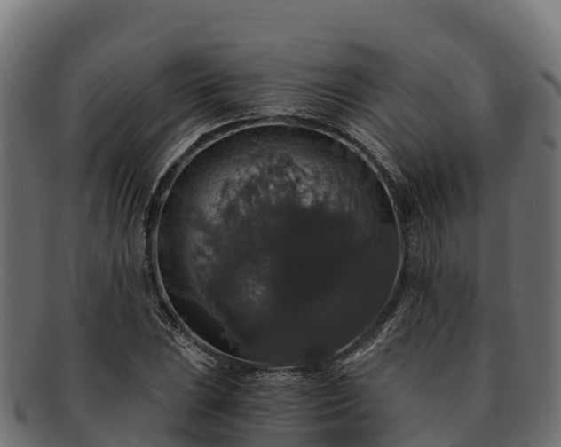 X0000091941023200709191416