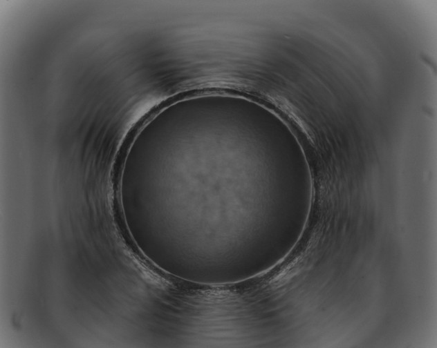 X0000091941024200709191416