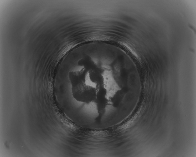 X0000091941025200709191416