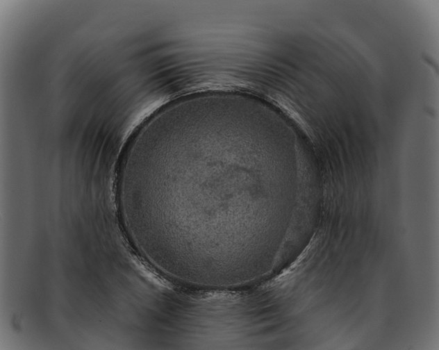 X0000091941026200709191416