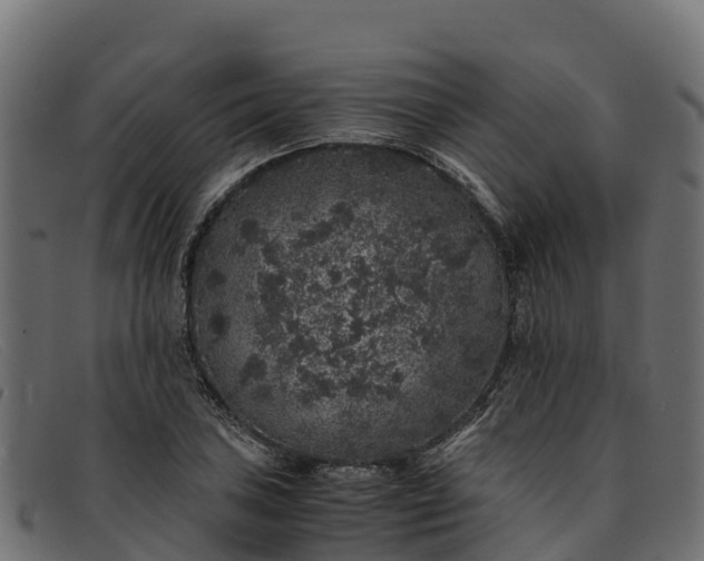 X0000091941027200709191416