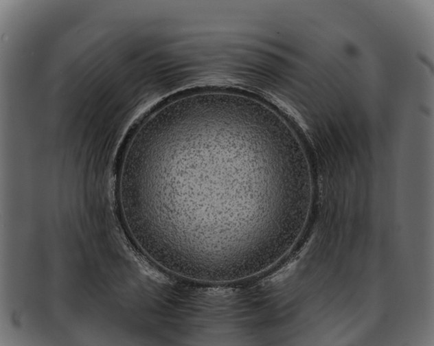 X0000091941029200709191416