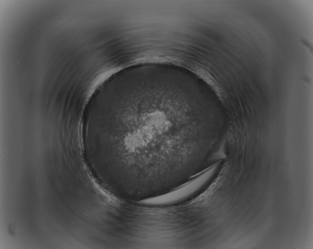 X0000091941030200709191416