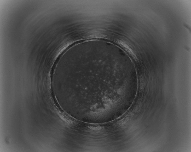 X0000091941031200709191416