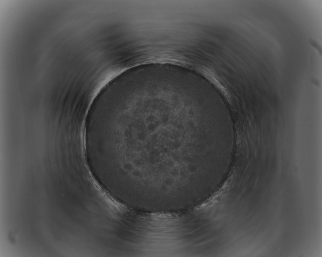 X0000091941032200709191416