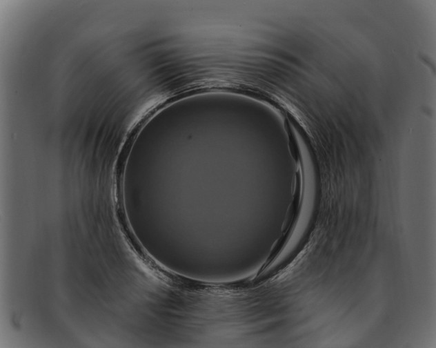 X0000091941034200709191416