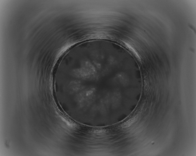 X0000091941035200709191416