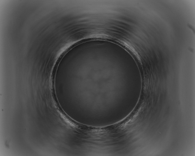 X0000091941037200709191416