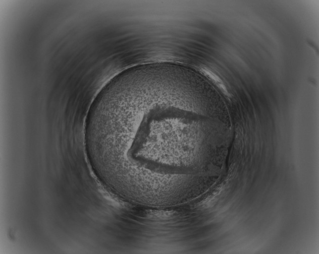 X0000091941039200709191416