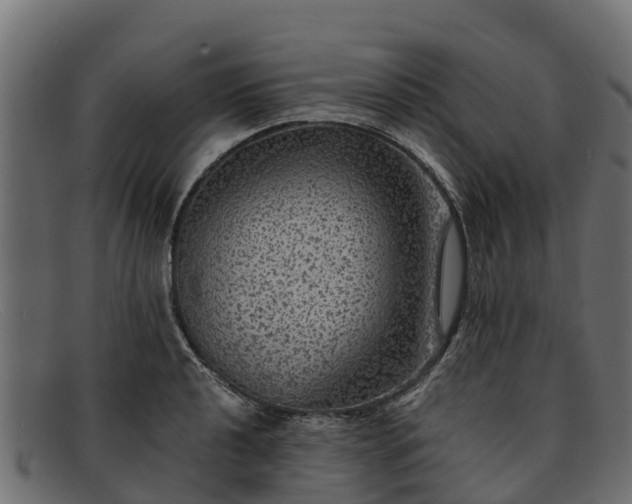 X0000091941040200709191416