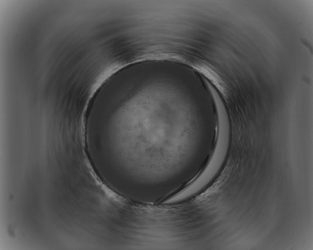 X0000091941046200709191416