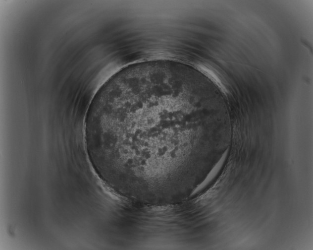 X0000091941047200709191416