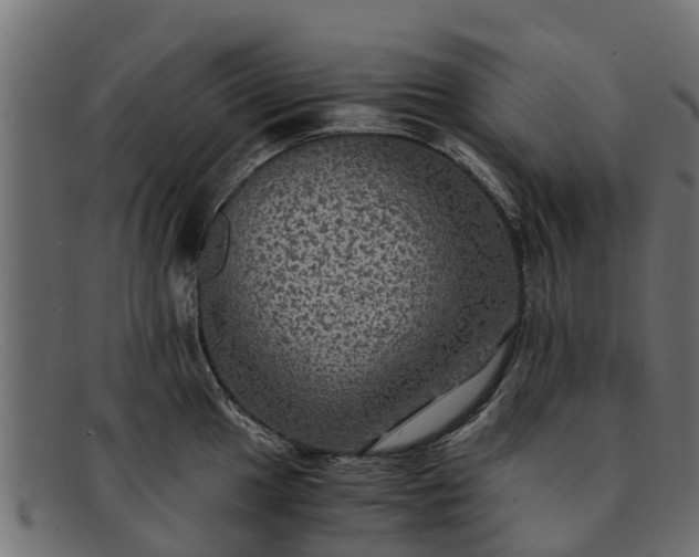 X0000091941049200709191416