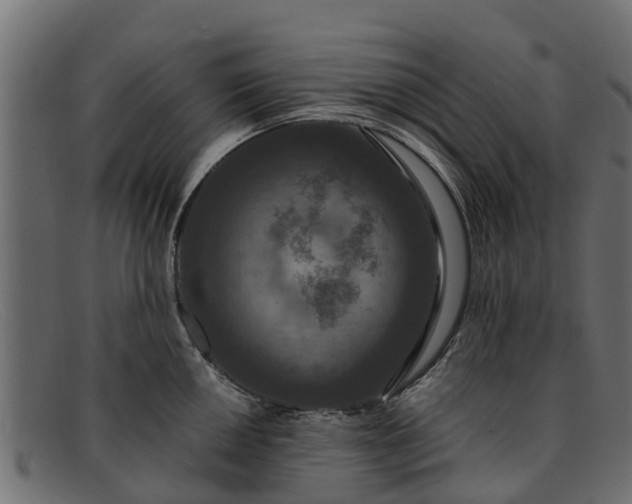 X0000091941050200709191416