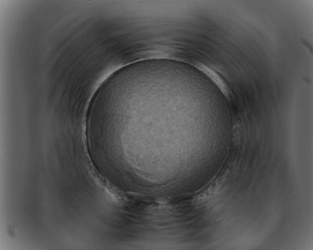 X0000091941051200709191416